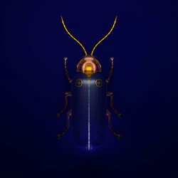 Firefly