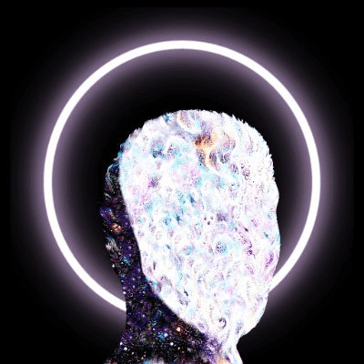 H01