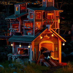 Dog House