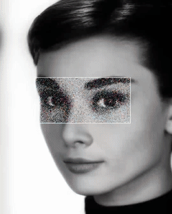 / Audrey Hepburn /
