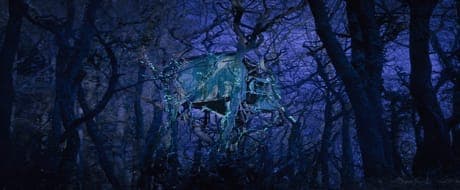 Turning photos into fairy tales