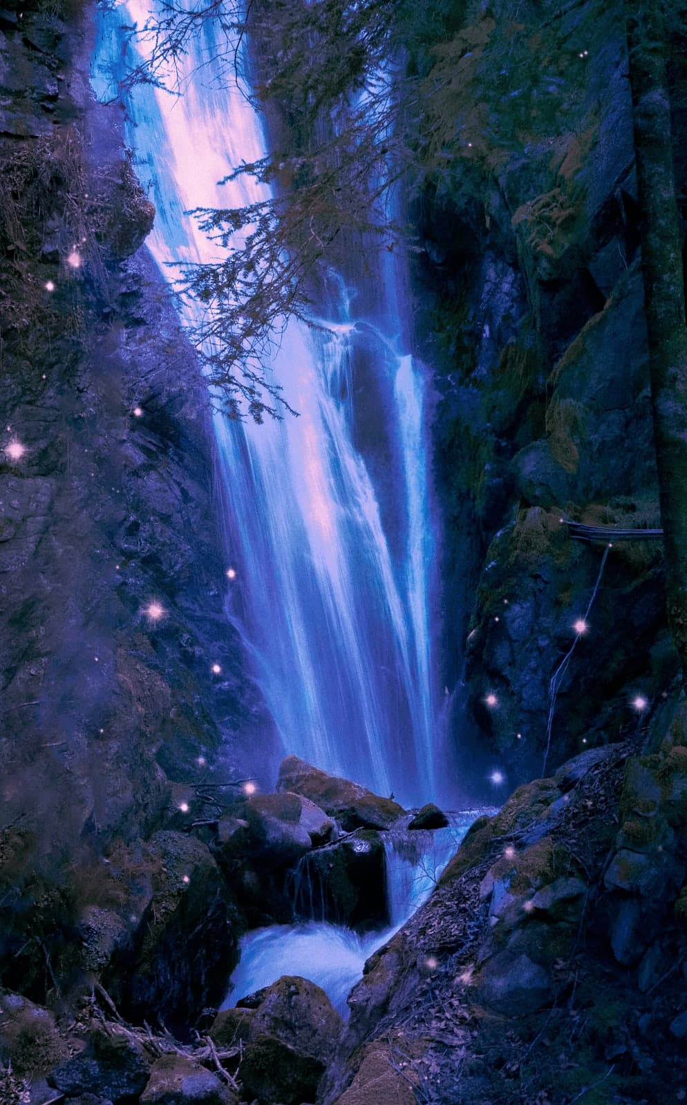 Turning photos into fairy tales