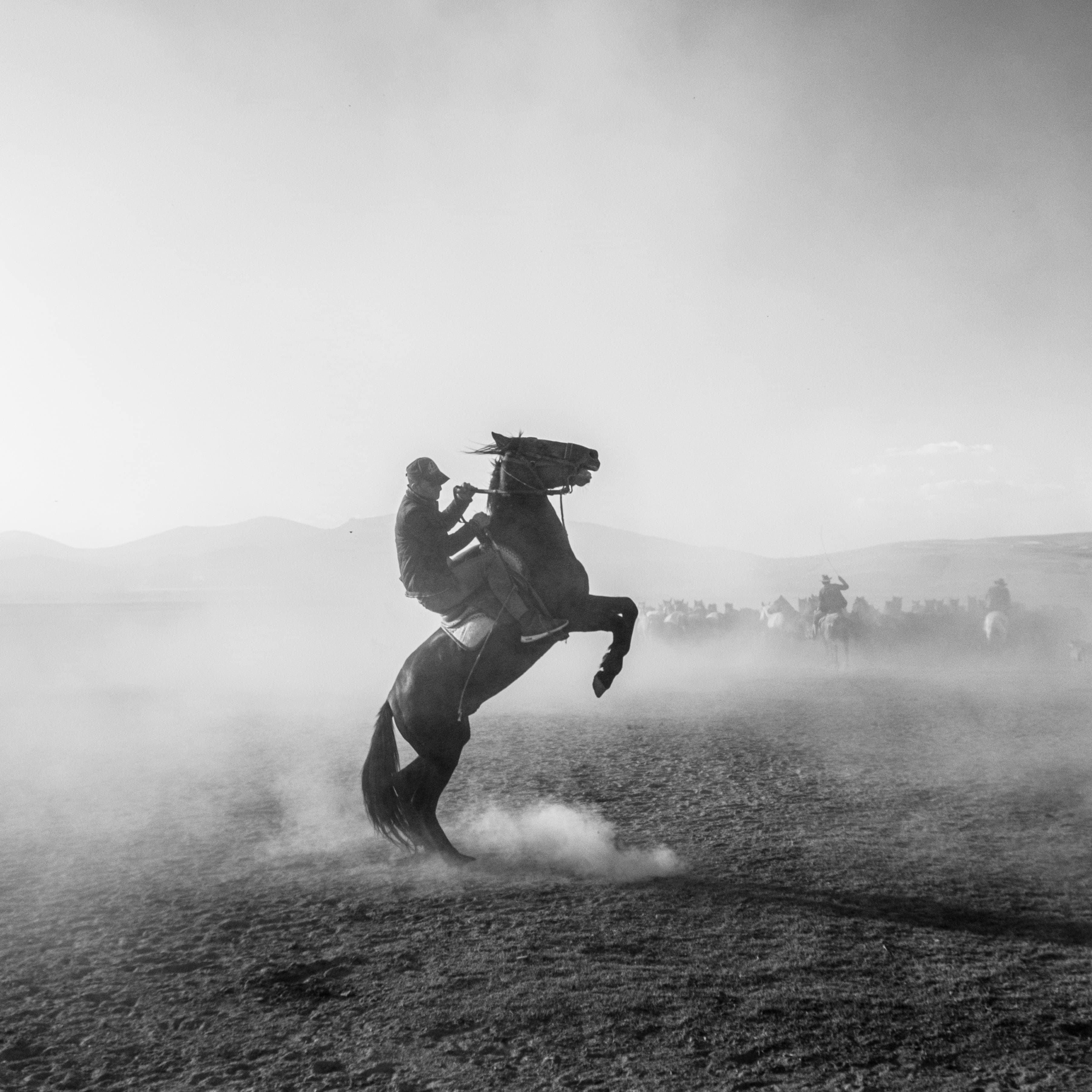 Yılkı Horses & Cowboys