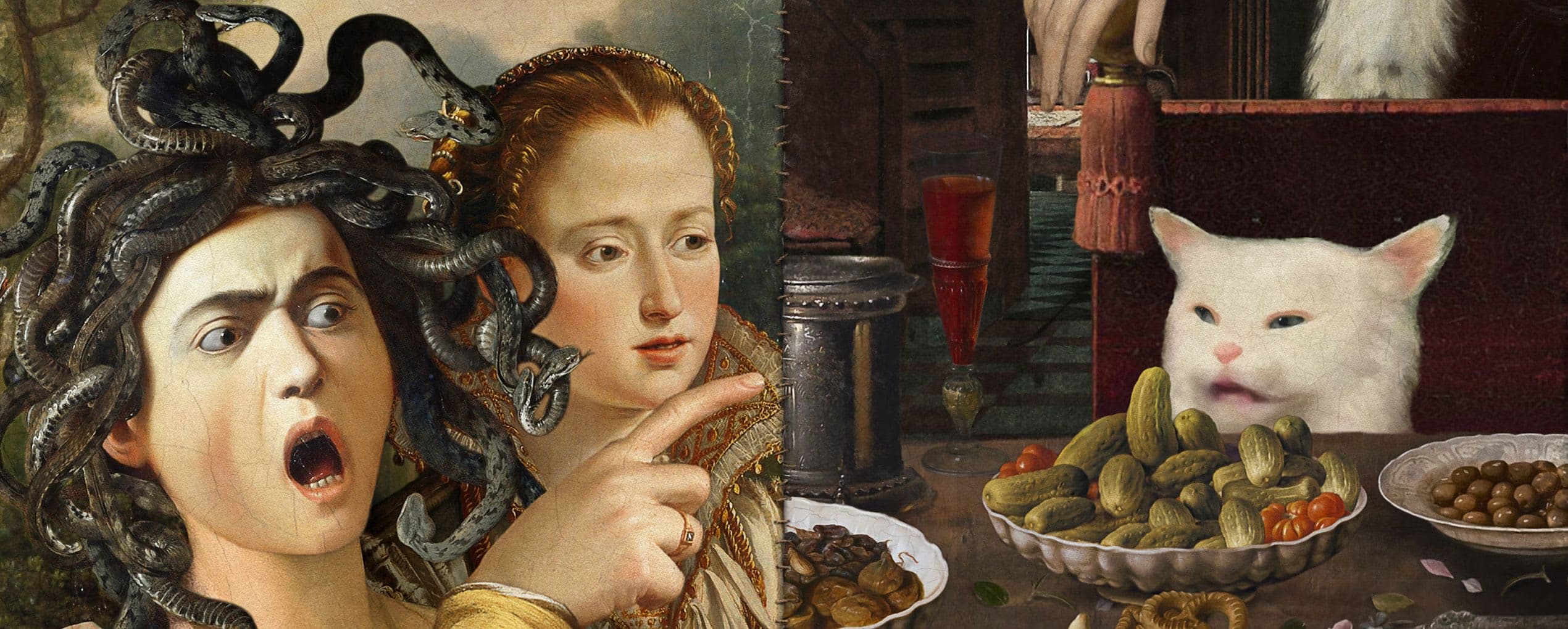 woman yelling at a cat