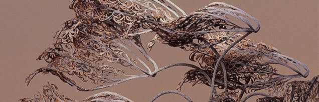 Algorithmic Still life #15