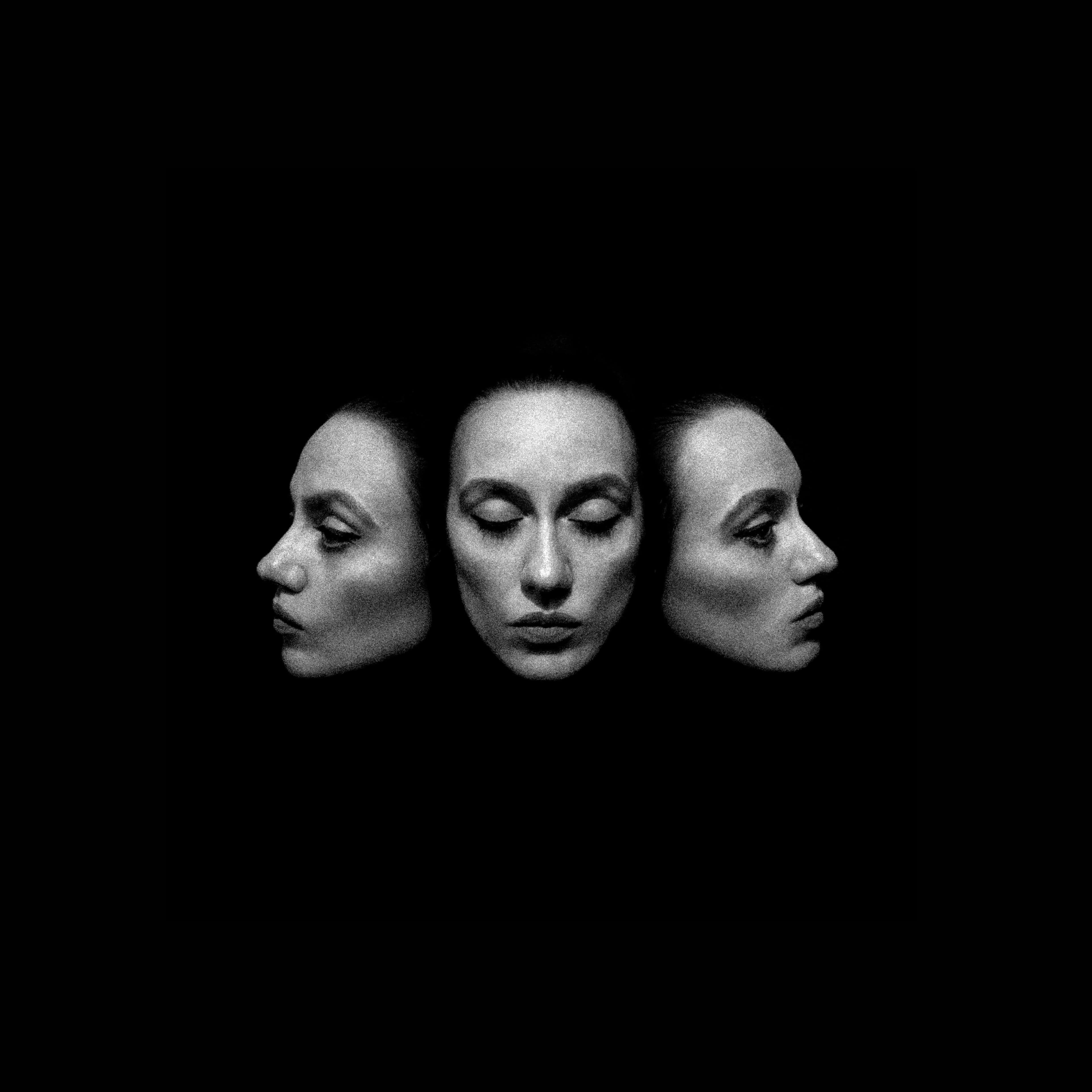 MIDNIGHT FLOWERS BLOOM