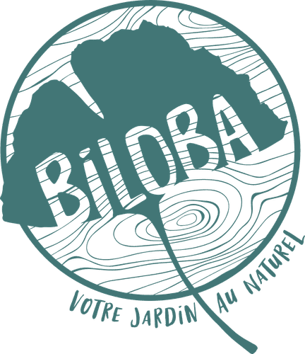 Biloba Paysage
