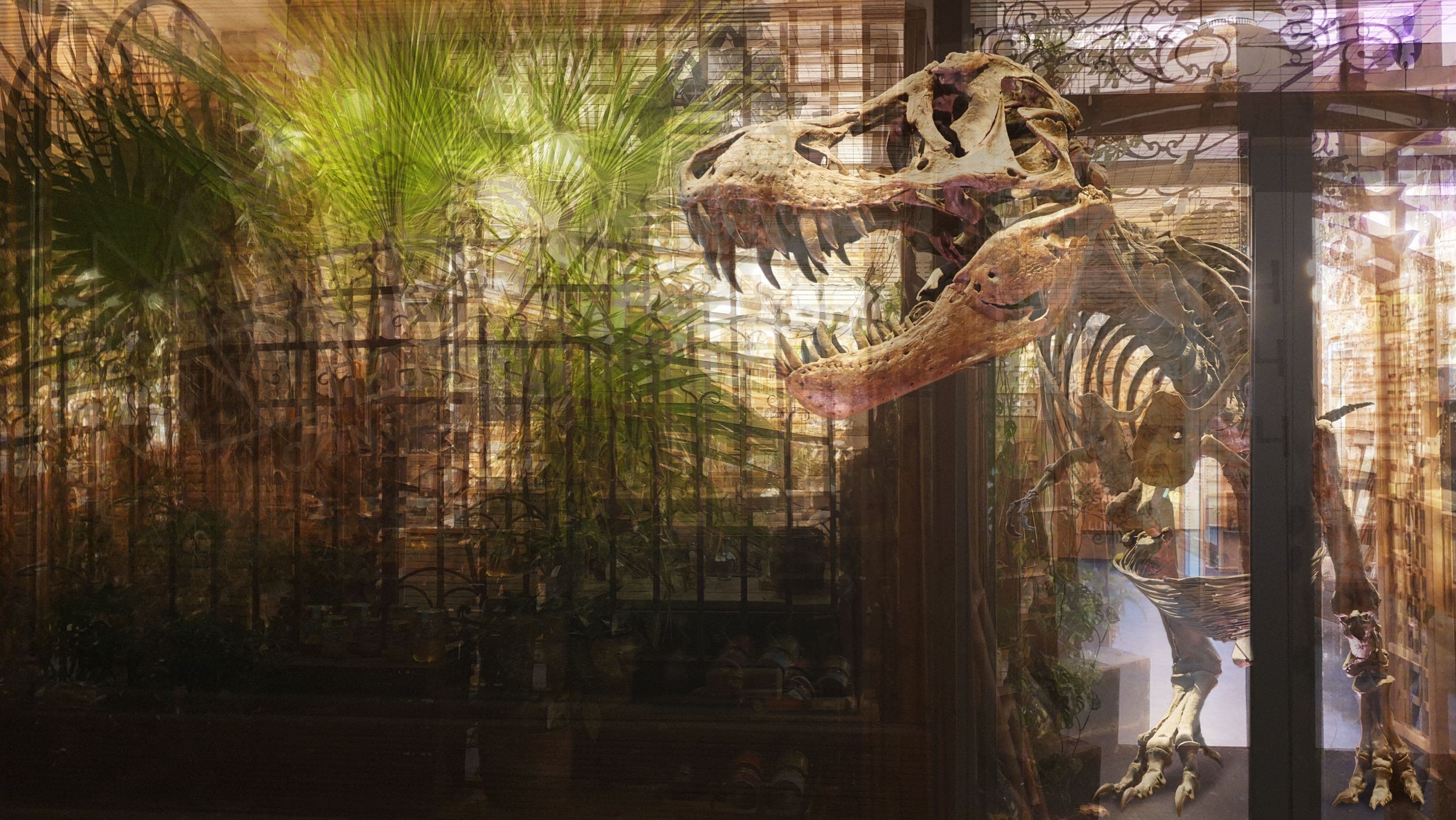 Extinct IX - Unhappy Customer