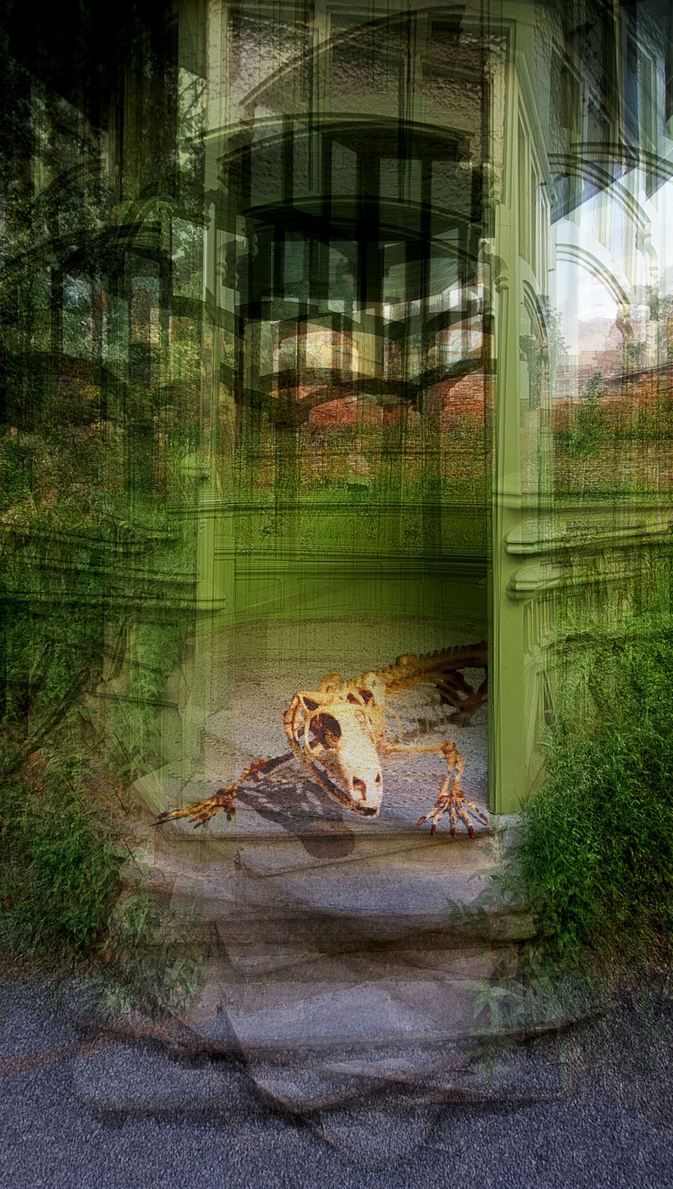 Extinct VIII - Going out