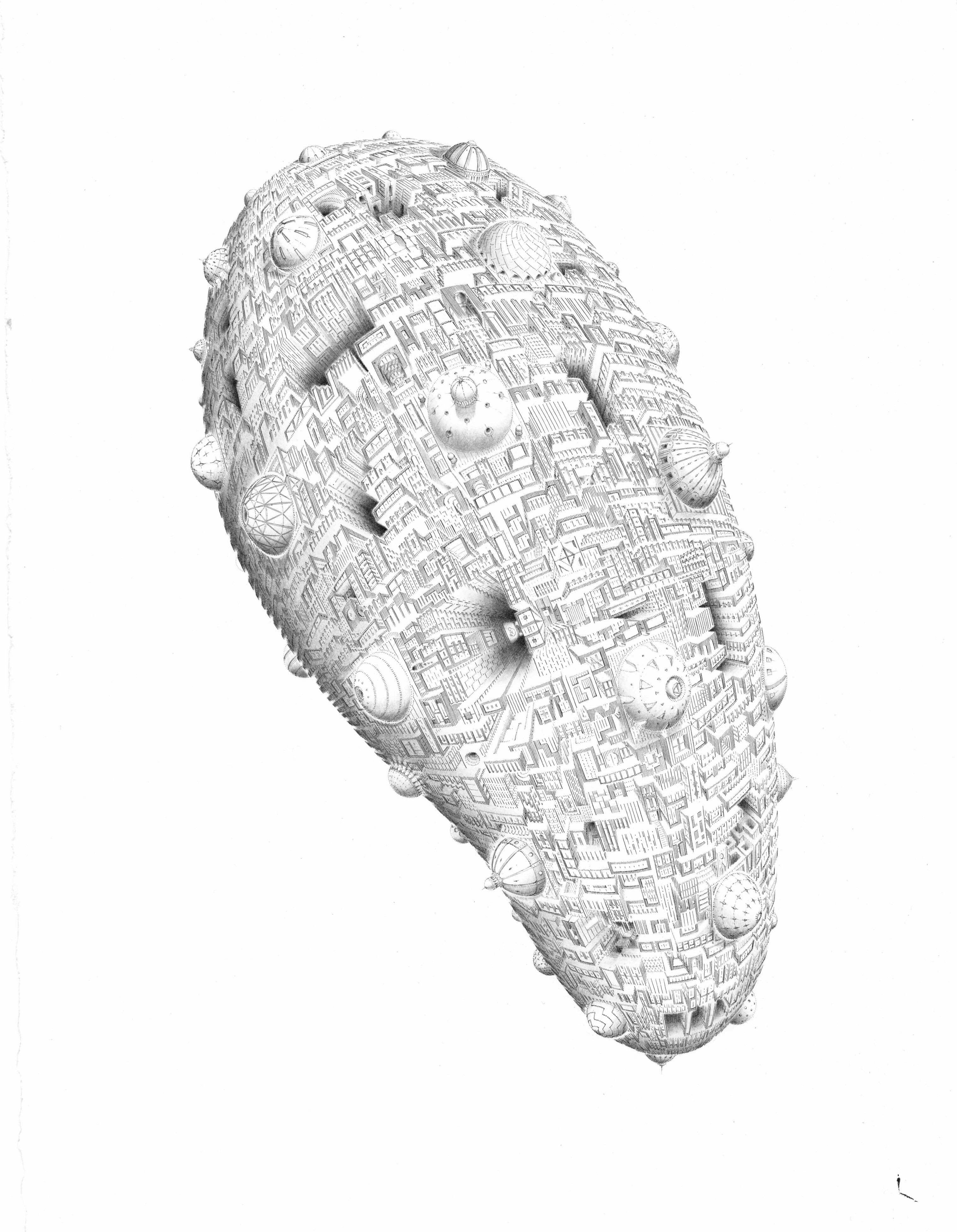 Domus Chrysalis