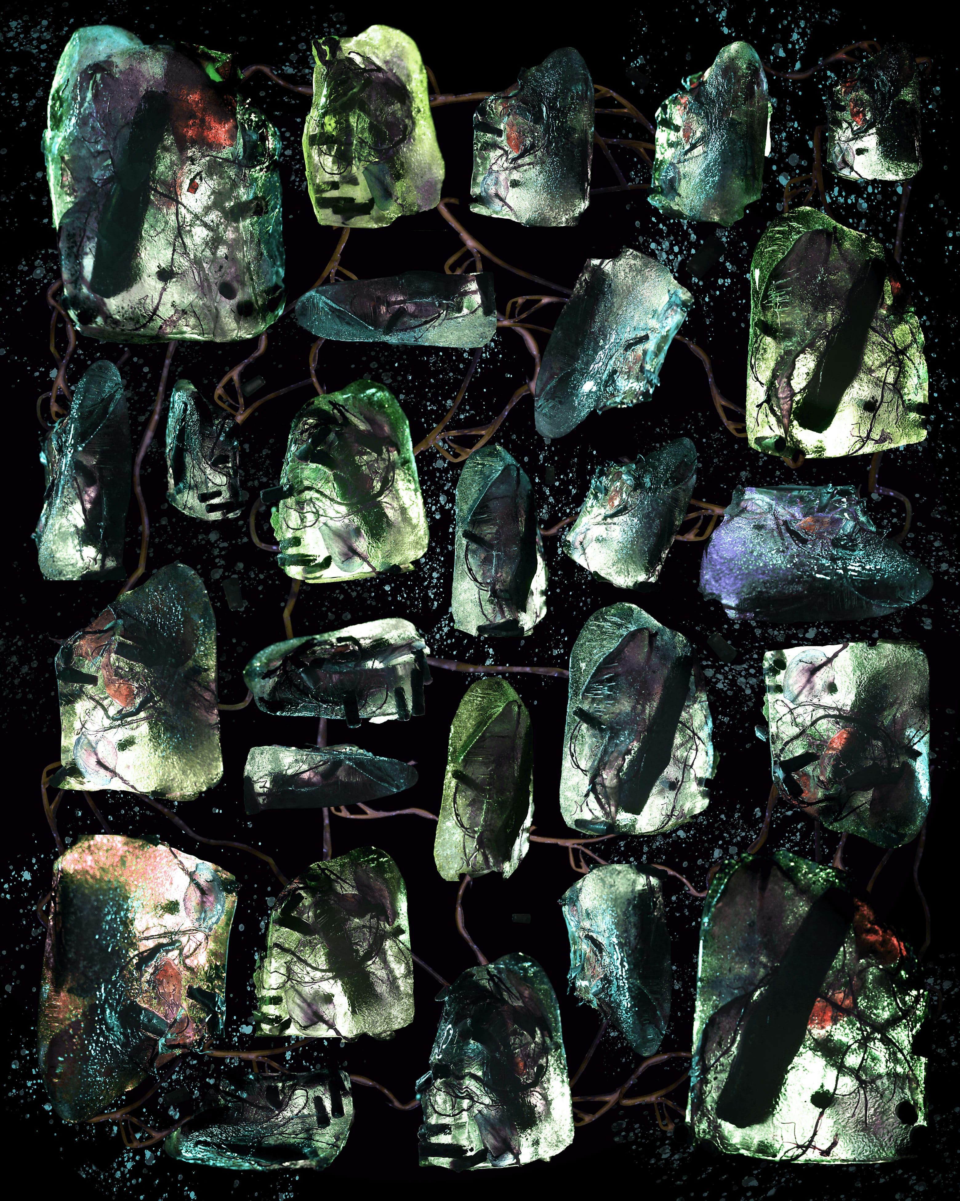 Rhizome