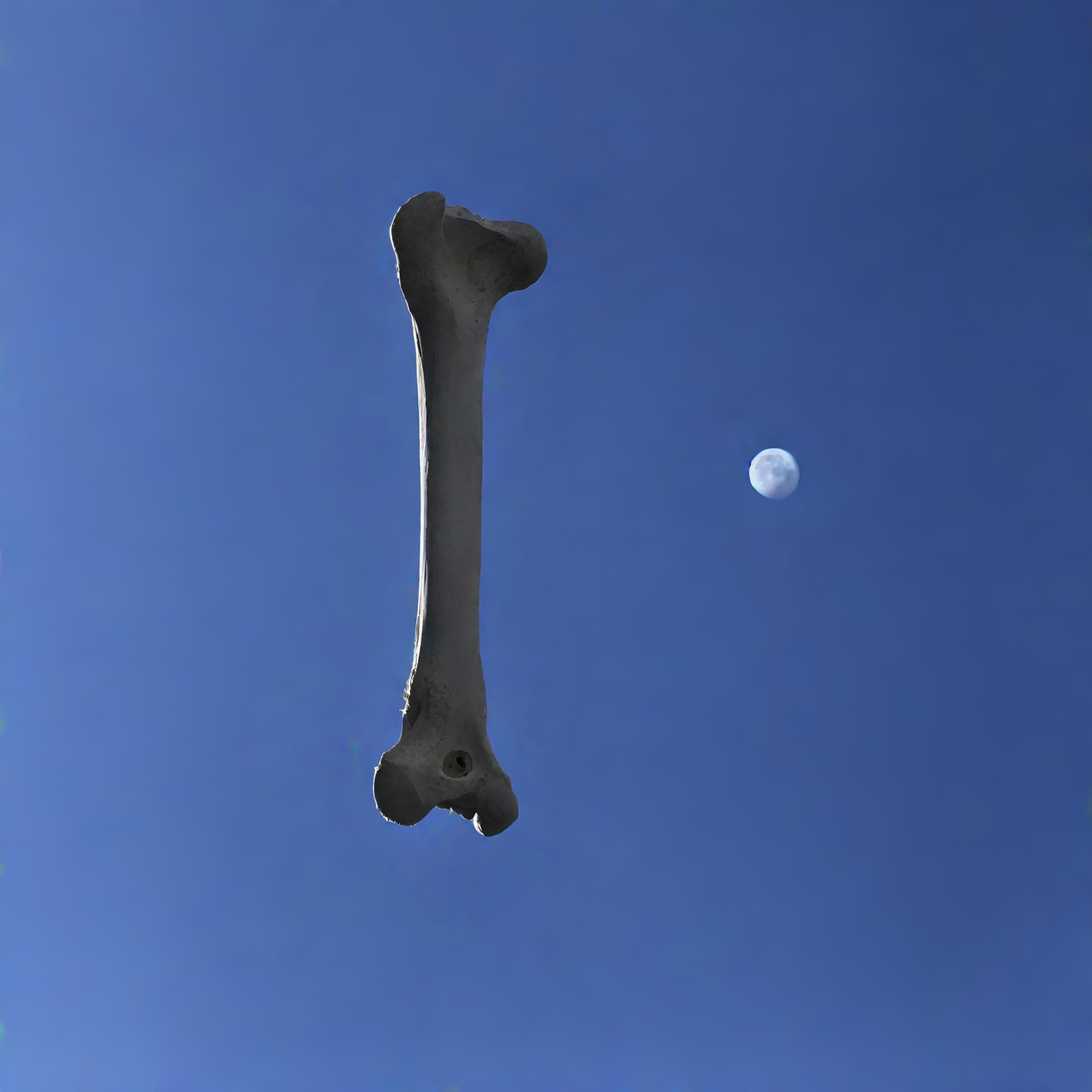 Bone Sky Moon: Vanishing Of The Genuine