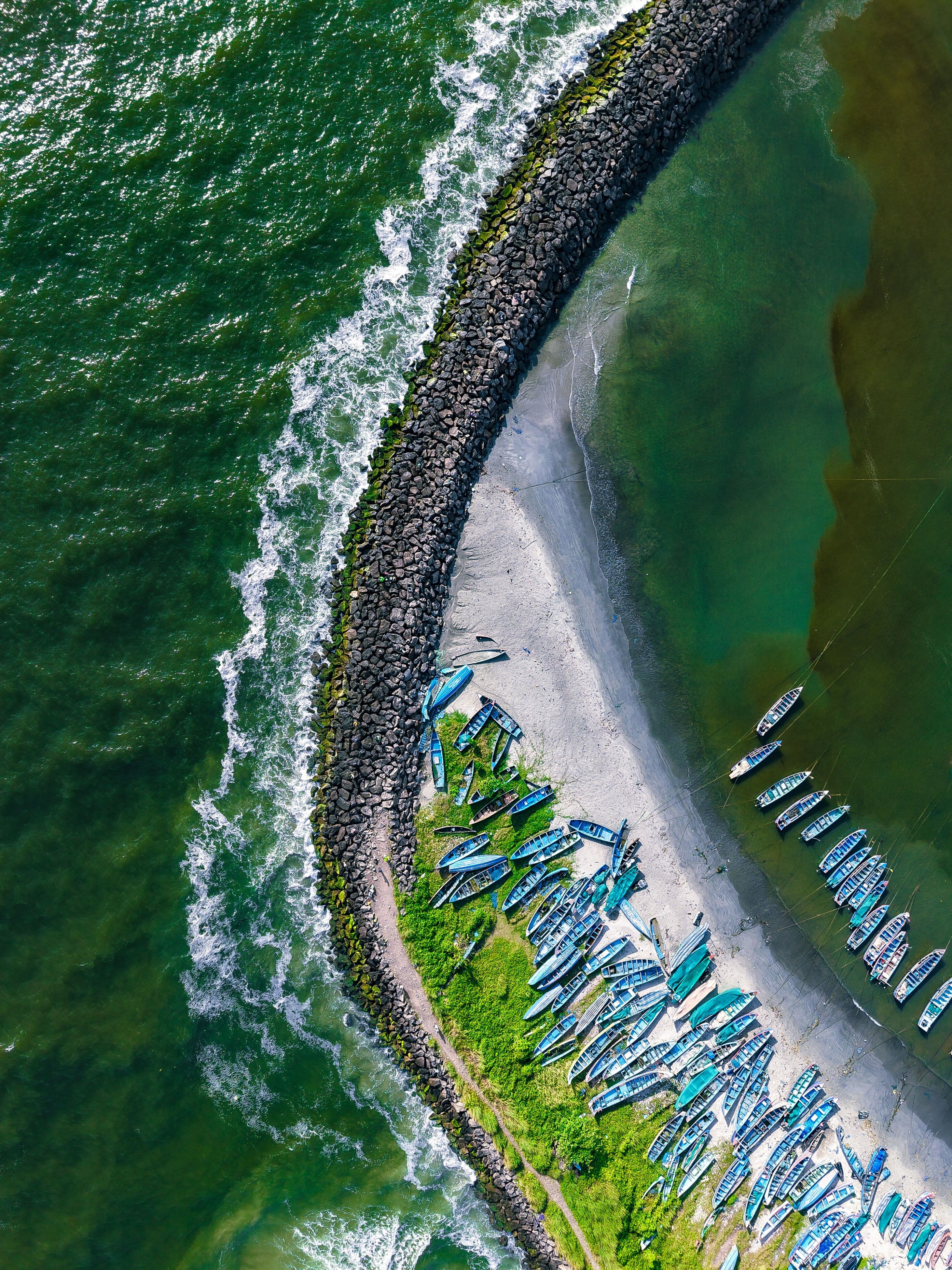 Ocean Pulse