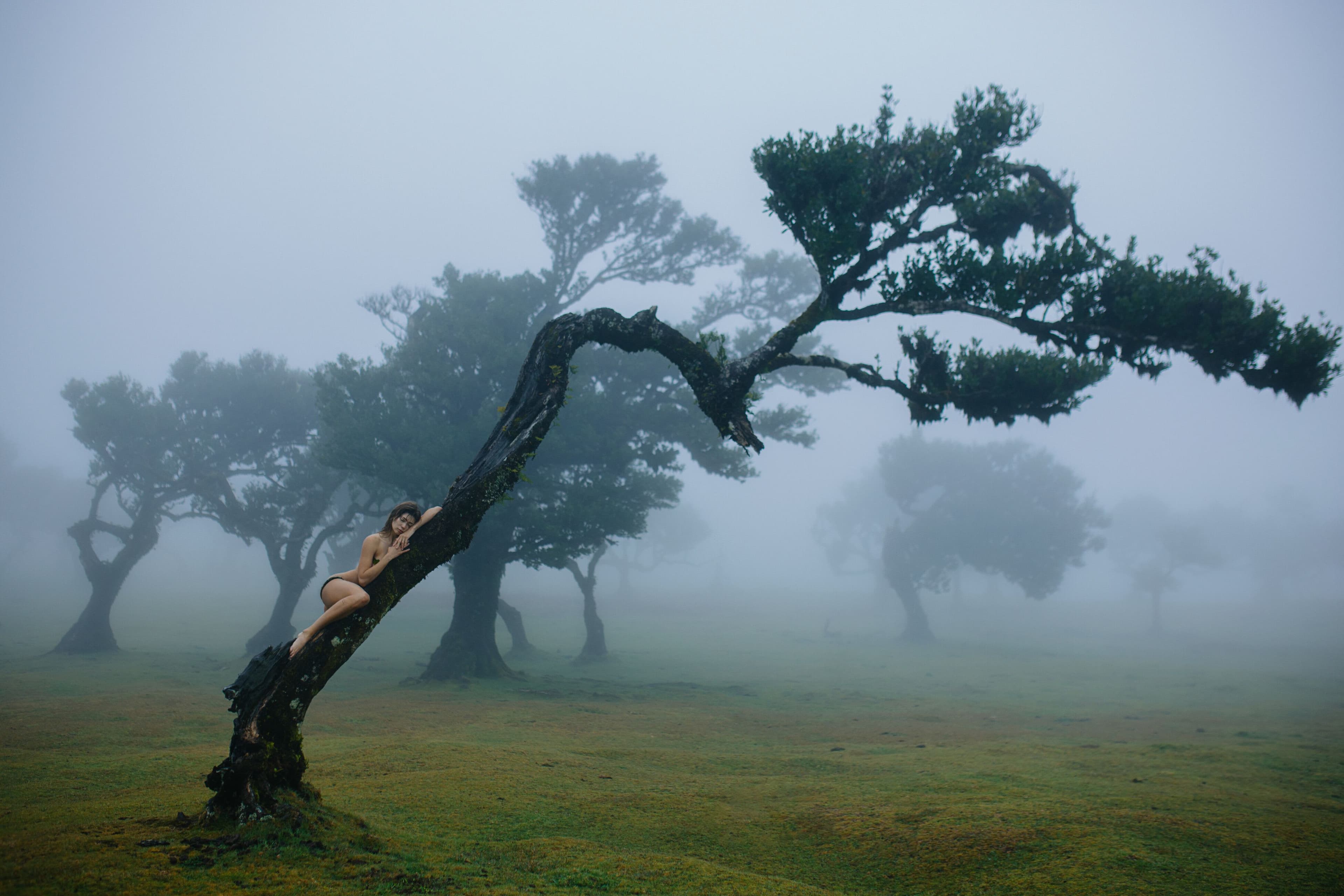 Echoes of the Earth