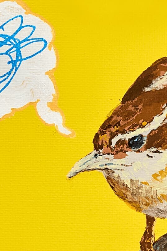 Carolina Wren ( A Pause of Reflection)