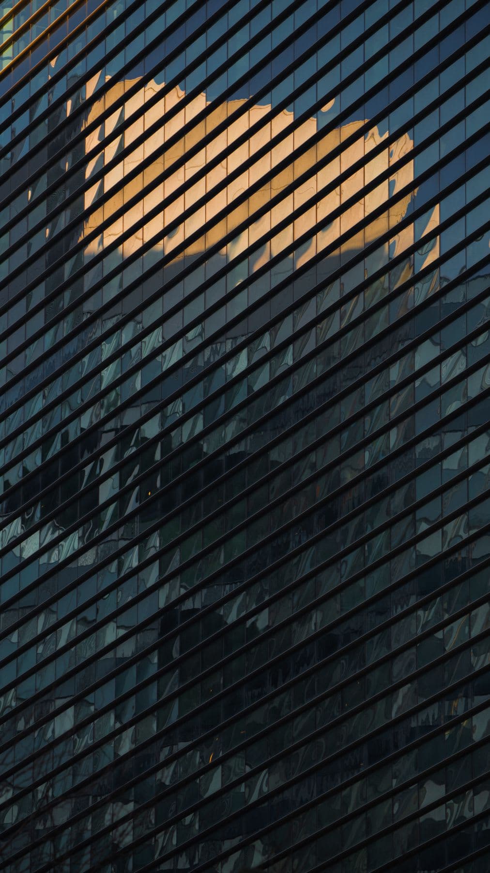 Reflexion From The North
