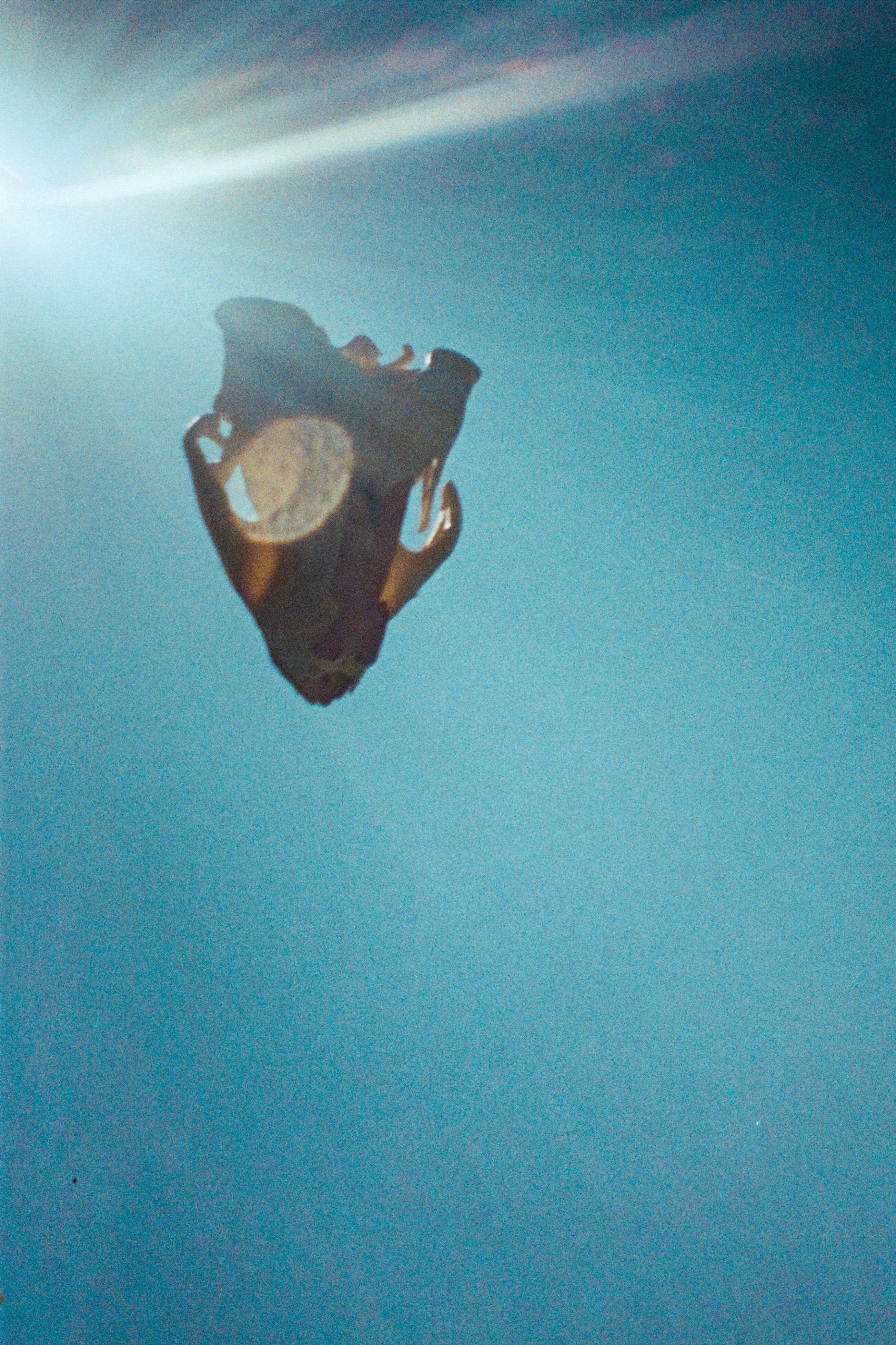 Unholy Skull Of God
