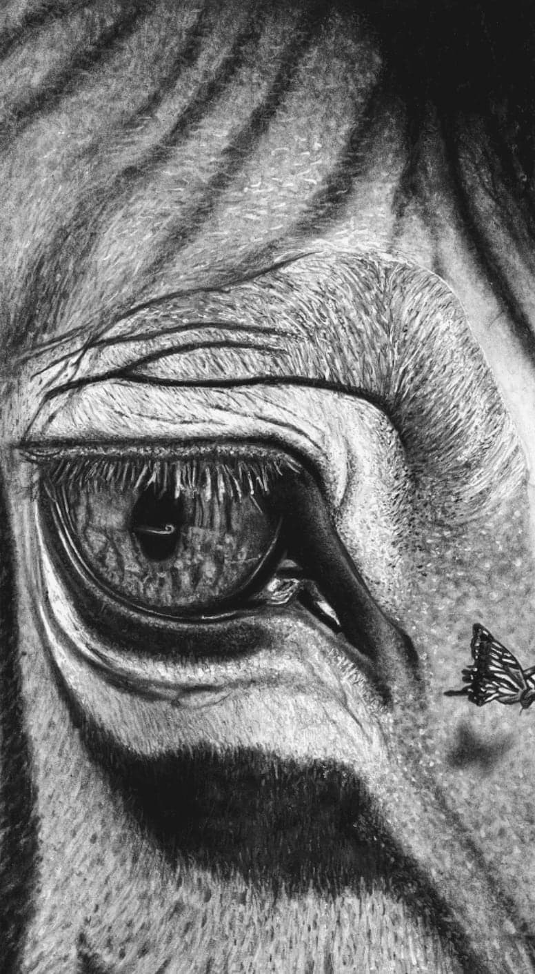 A Touch Of Hope