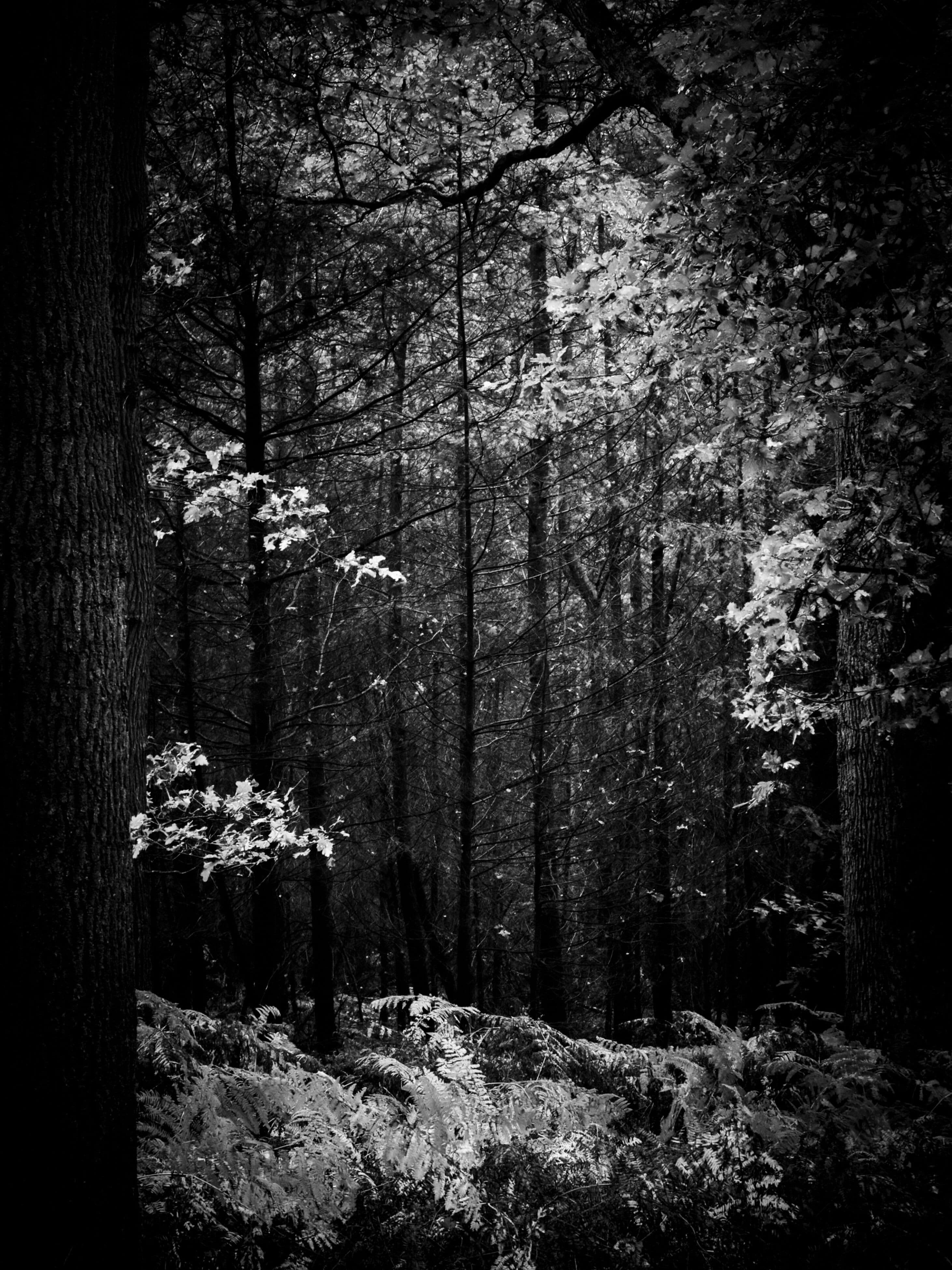 Beyond the Veil