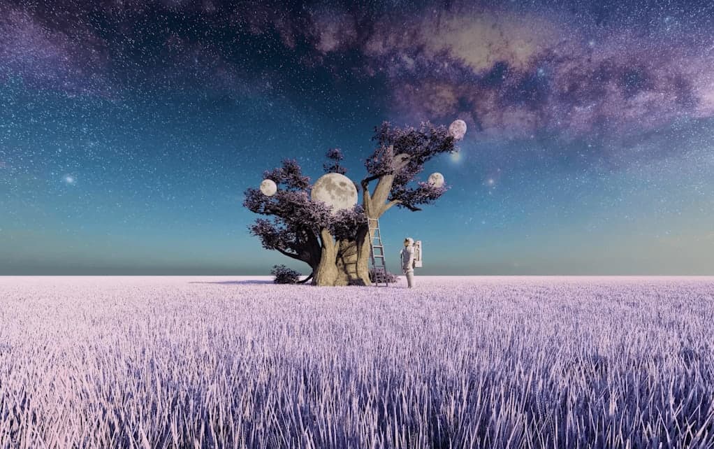 A Corner Of The Universe