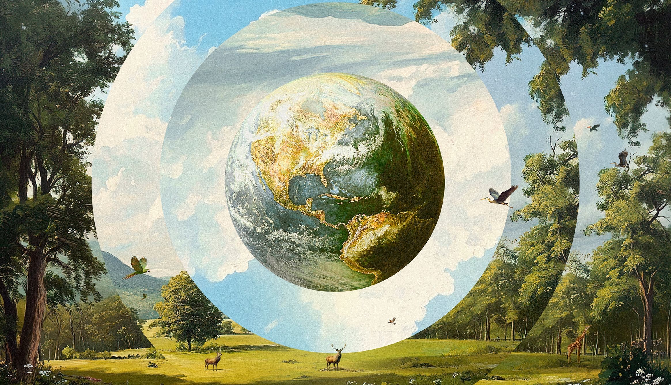 Atlas